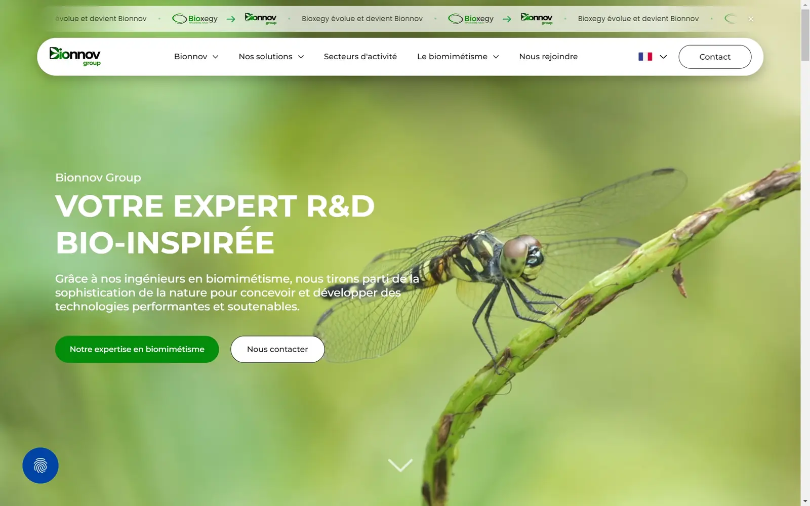 Le site de Bionnov